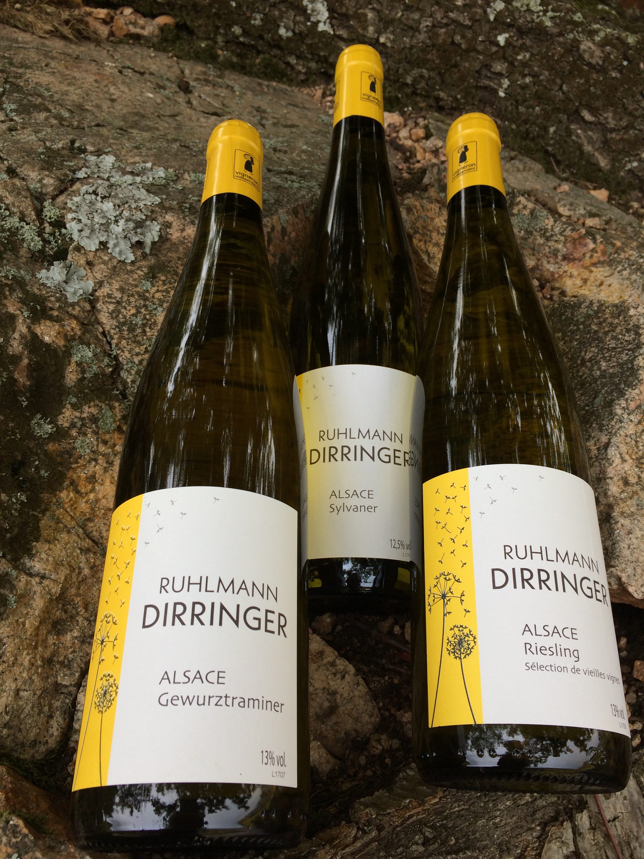 Journée dégustation de vins d'Alsace Ruhlmann
